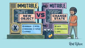 What Do We Really Mean by Immutable Data Types?